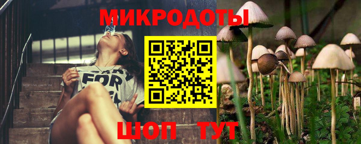 Галлюциногенные грибы Psilocybine cubensis Ирбит