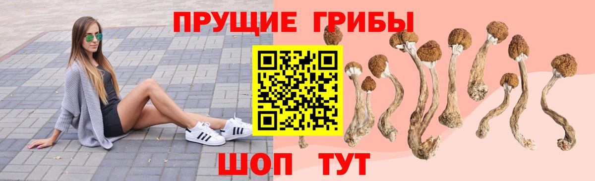 Псилоцибиновые грибы мухоморы  Вход с VPN  Ирбит 